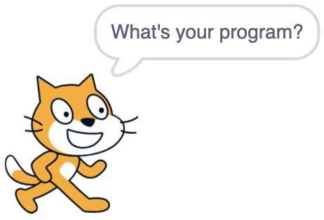 scratch cat asking for a program